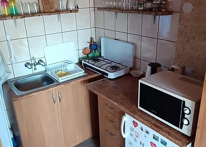 Domek alpejski Domek Pod Lasem Maniowy