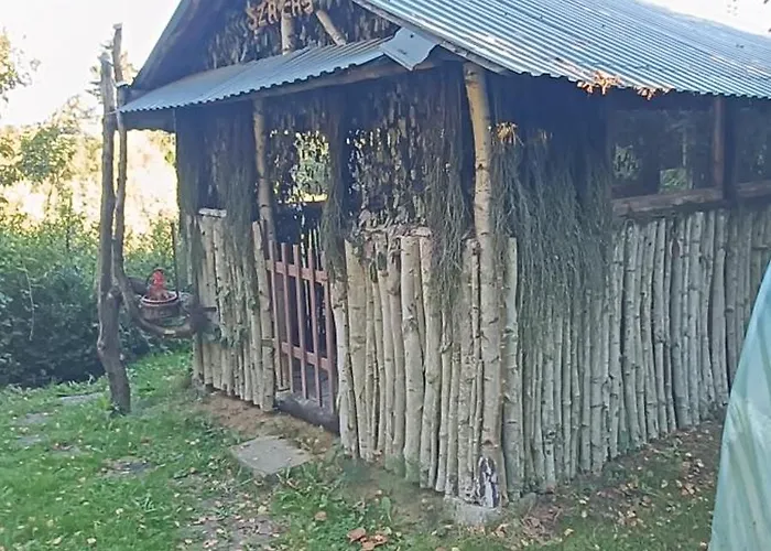 Domek alpejski Domek Pod Lasem Maniowy